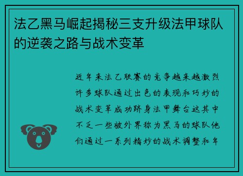 法乙黑马崛起揭秘三支升级法甲球队的逆袭之路与战术变革